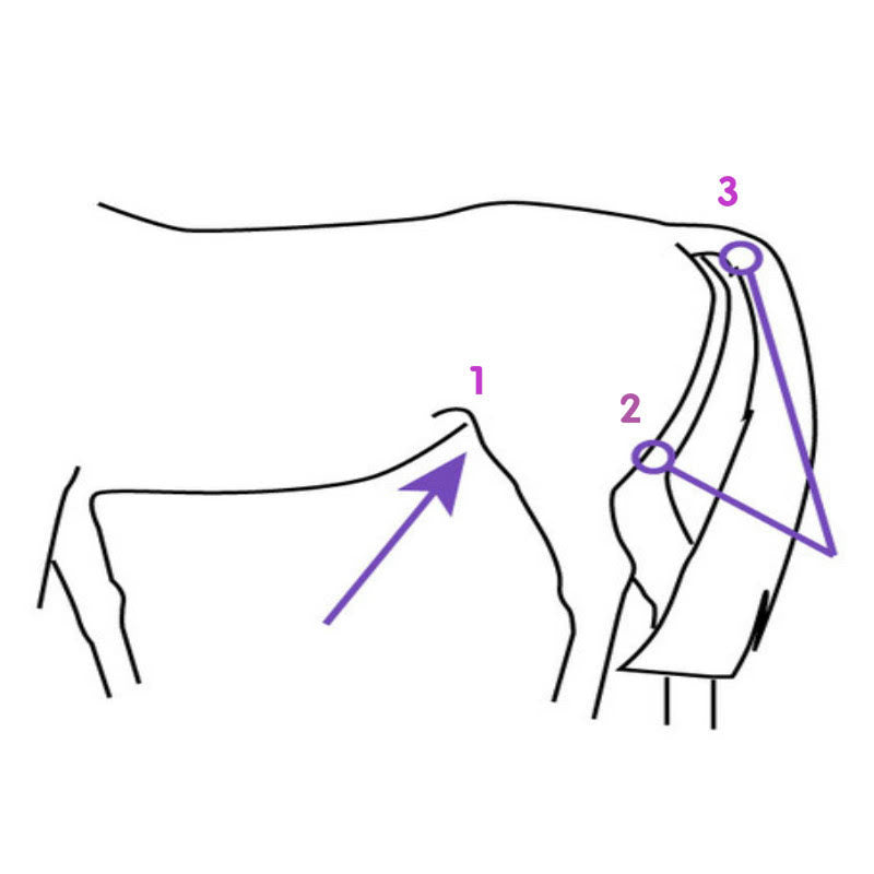 Serene-diagram