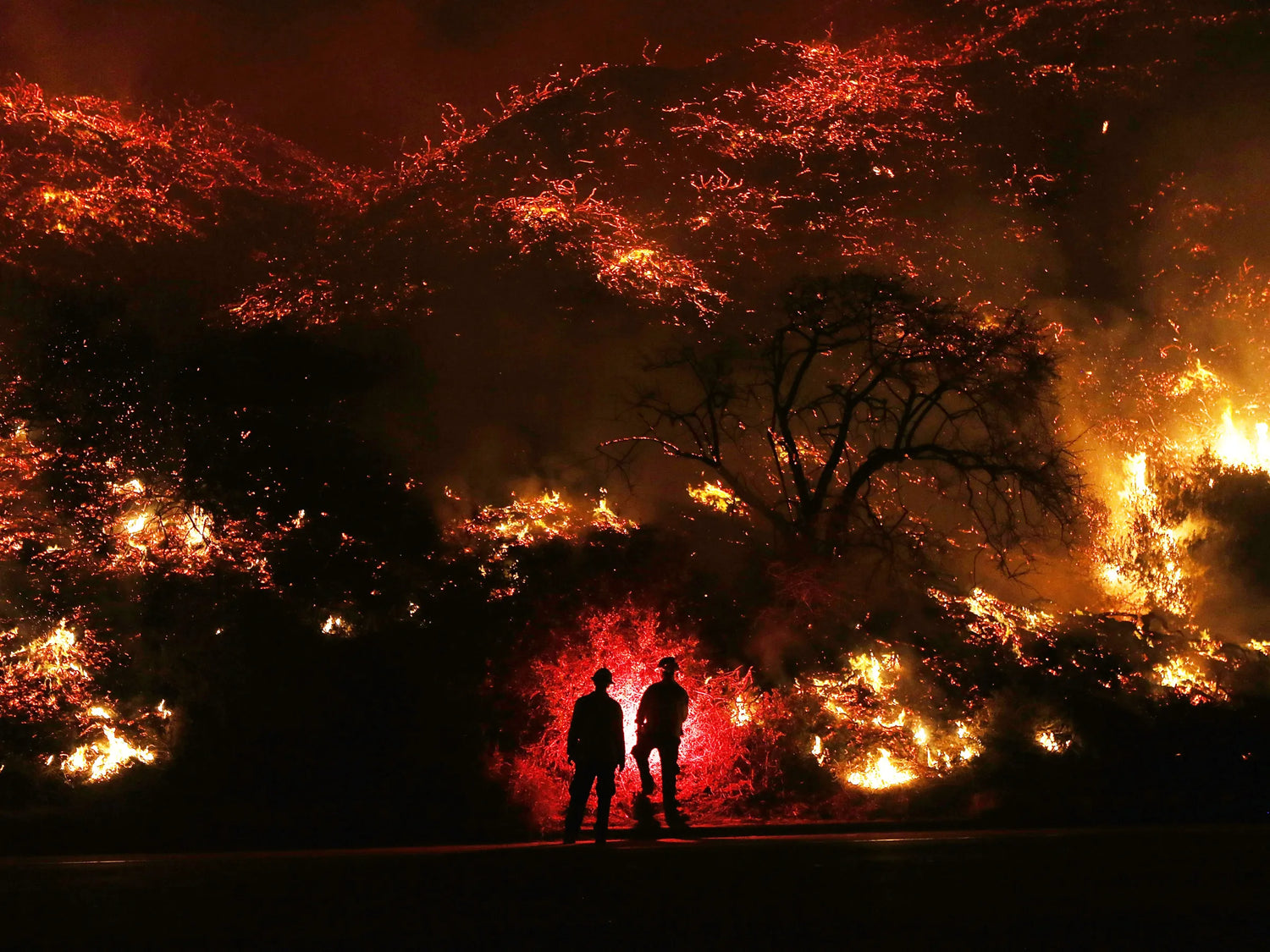 Wildfire Home Assessments