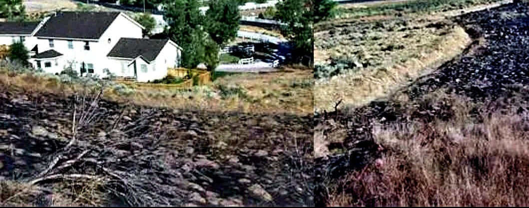 Wildfire Risk Property Assessment:  ON-SITE
