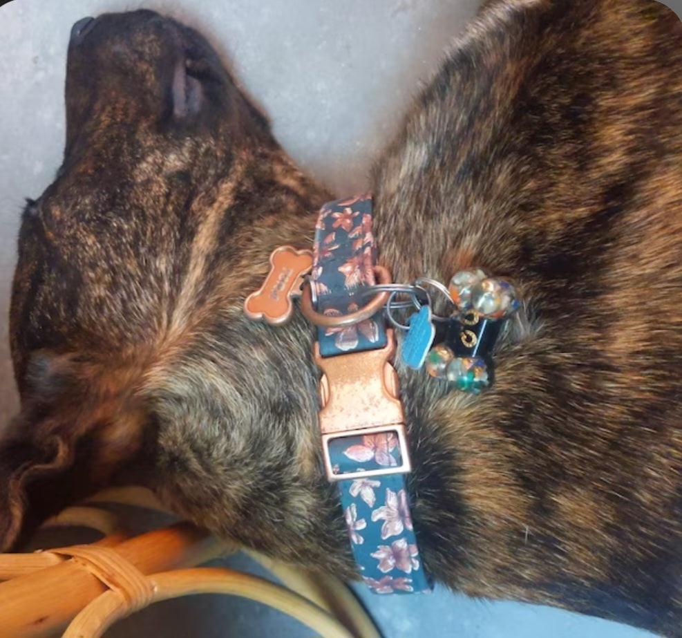 Calming Dog Charms EMF Protection Dog Bone over 25 pounds